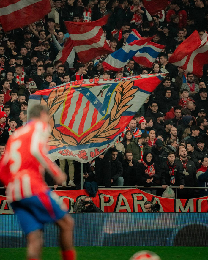 约基奇39+10+10胜雄鹿！近3战9帽成顶级3D，掘金找到波普替代者